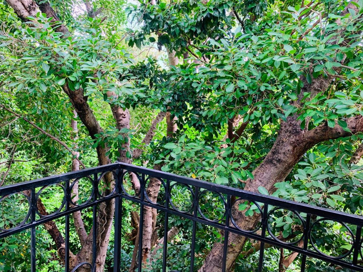 Villa Antilope แคนคูน ภายนอก รูปภาพ