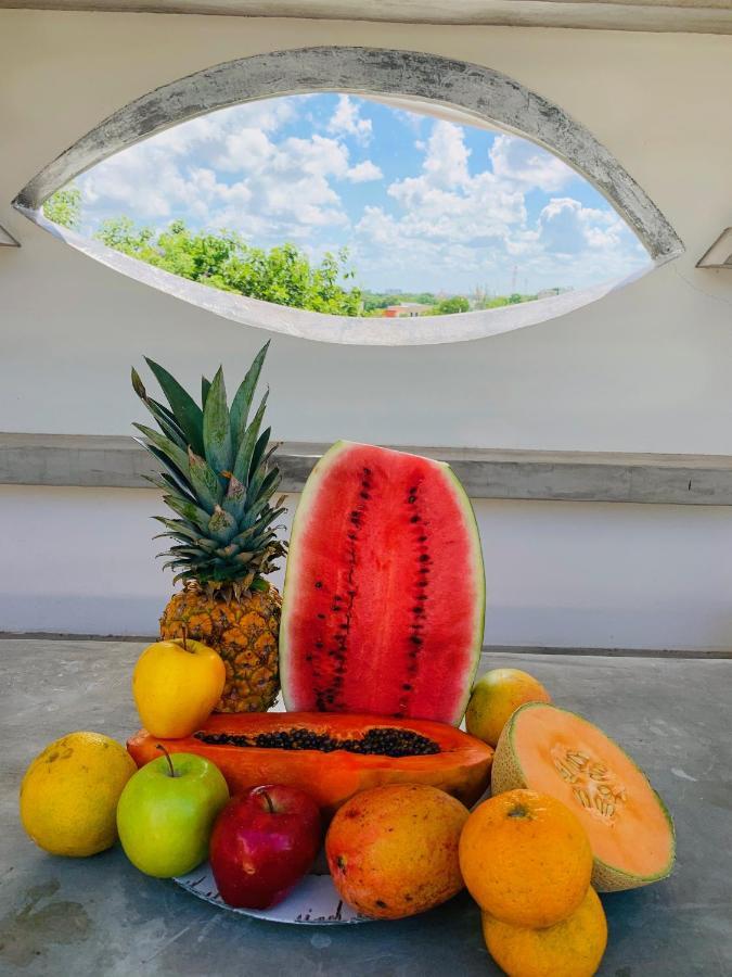 Villa Antilope แคนคูน ภายนอก รูปภาพ