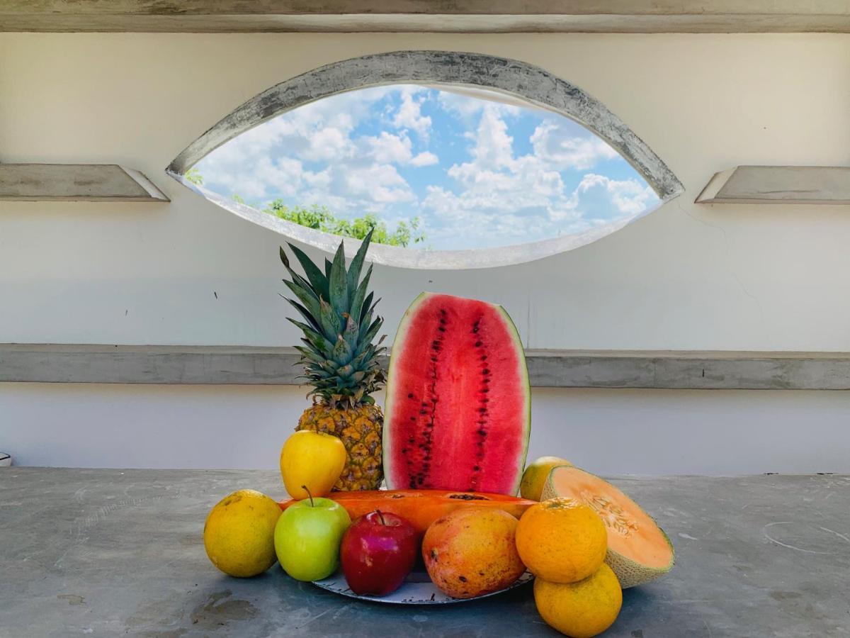 Villa Antilope แคนคูน ภายนอก รูปภาพ
